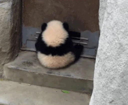 🐼 Стикер «Panda Mood» для Telegram