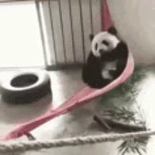 🐼 Стикер «Panda Mood» для Telegram