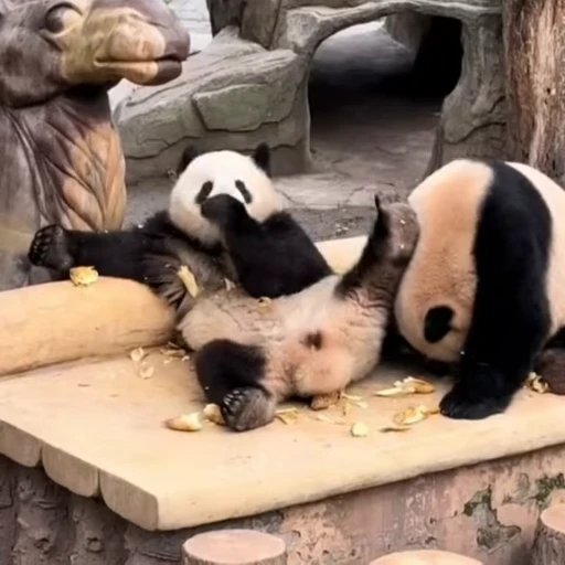 🌟 Стикер «Panda Mood» для Telegram