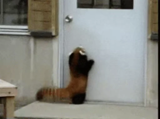 🐼 Стикер «Panda Mood» для Telegram