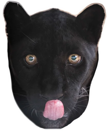 😋 Стикер «Panther» для Telegram
