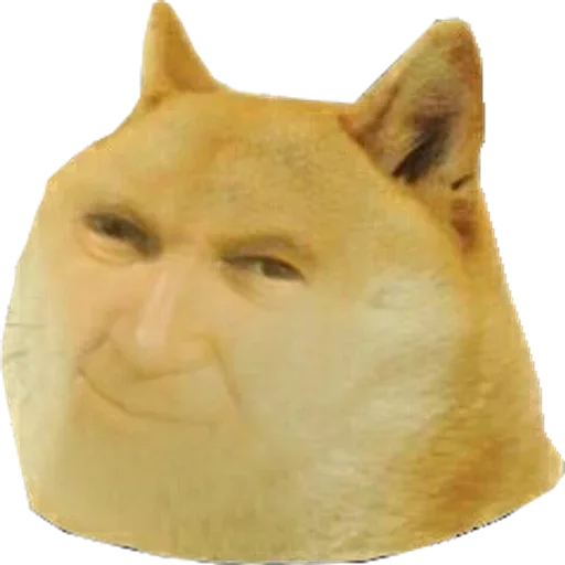 😼 Стикер «Papieże reakcyjne» для Telegram