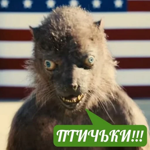 🦜 Стикер «Папужки» для Telegram