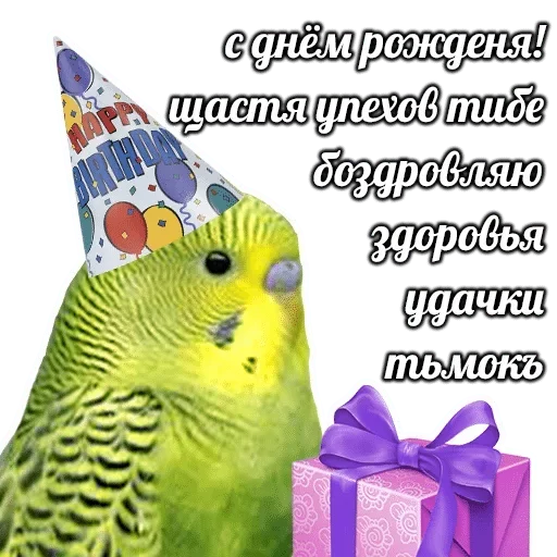 🎂 Стикер «Папужки» для Telegram