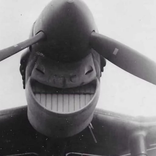 😆 Стикер «pareidolia» для Telegram