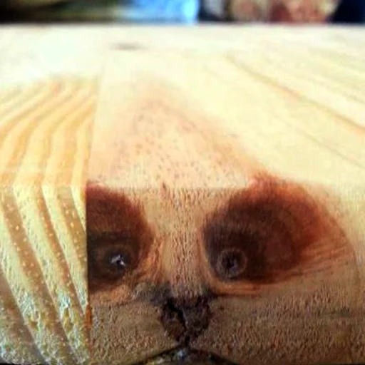 😲 Стикер «pareidolia» для Telegram