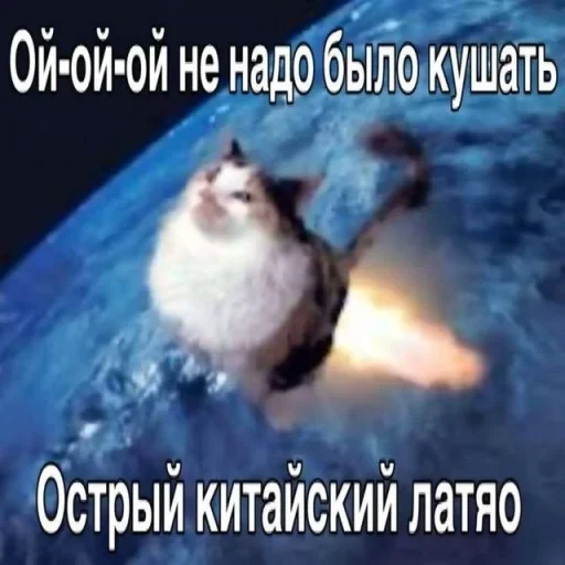 🤩 Стикер «Парфюм пикчи» для Telegram