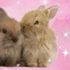 Стикер 28 🌟🌟парные статусы