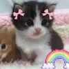 Стикер 10 🌟🌟парные статусы