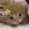 Стикер 9 🌟🌟парные статусы