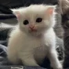 Стикер 23 🌟🌟парные статусы