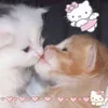 Стикер 14 🌟🌟парные статусы