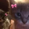 Стикер 8 🌟🌟парные статусы
