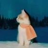 Стикер 22 Парные Статусы