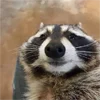 ☺️ Эмодзи «KaL» для Telegram