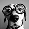 🐩 Эмодзи «KaL» для Telegram