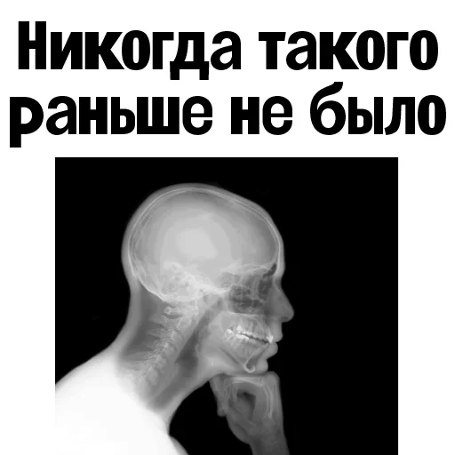 💀 Стикер «Пациентология» для Telegram