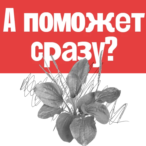 💉 Стикер «Пациентология» для Telegram