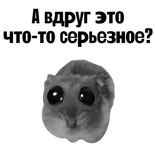 🐹 Стикер «Пациентология» для Telegram