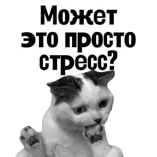 😿 Стикер «Пациентология» для Telegram