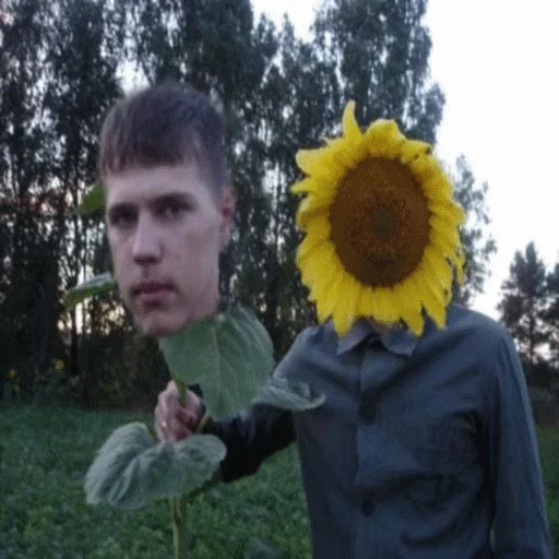 🌻 Стикер «Pavel Durav» для Telegram