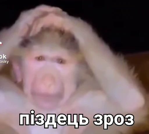 😭 Стикер «зроз» для Telegram