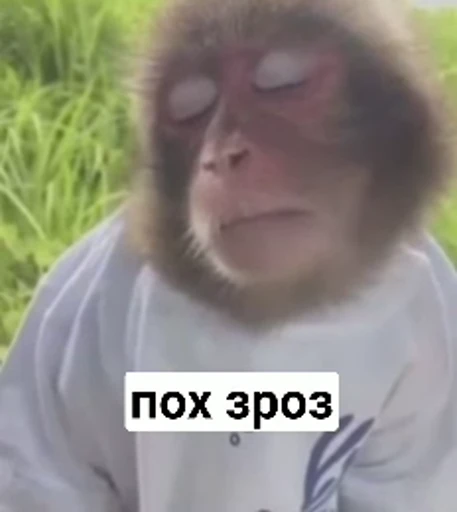 😒 Стикер «зроз» для Telegram