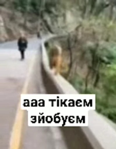 🏃 Стикер «зроз» для Telegram