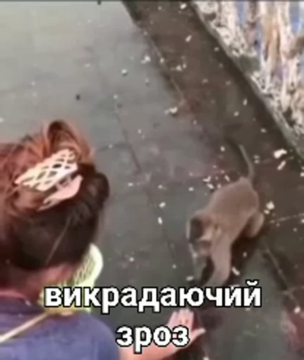 😏 Стикер «зроз» для Telegram