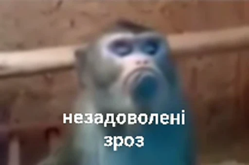 😟 Стикер «зроз» для Telegram