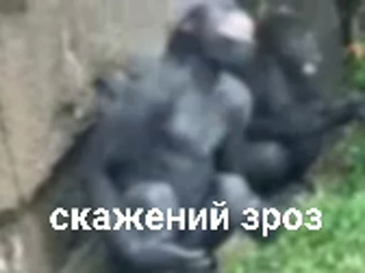 😤 Стикер «зроз» для Telegram