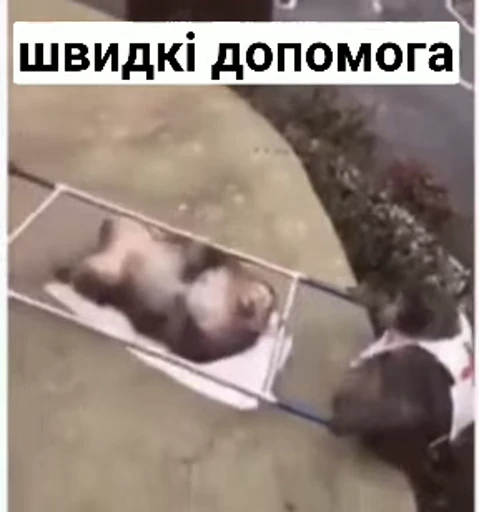🚑 Стикер «зроз» для Telegram