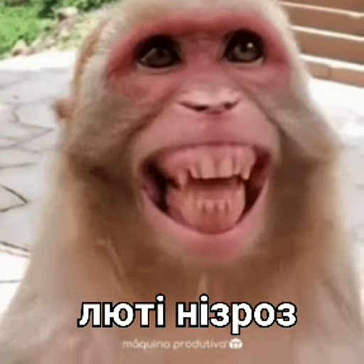 👹 Стикер «зроз» для Telegram