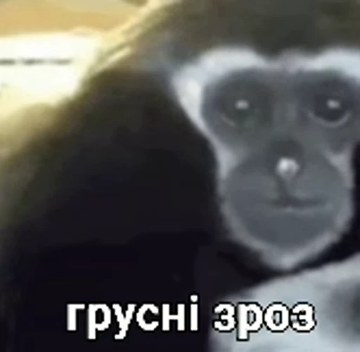 😭 Стикер «зроз» для Telegram