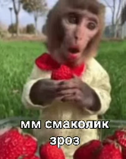 😋 Стикер «зроз» для Telegram