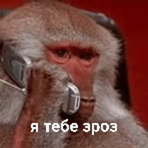 😶 Стикер «зроз» для Telegram