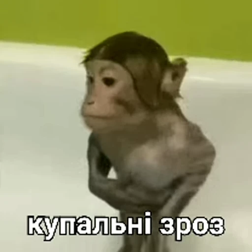 🧖 Стикер «зроз» для Telegram