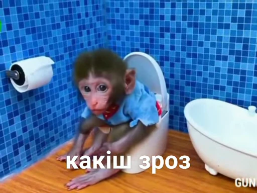 🐒 Стикер «зроз» для Telegram