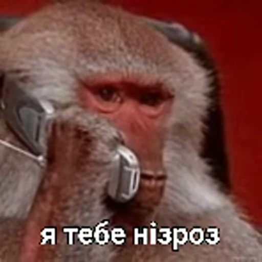 😶 Стикер «зроз» для Telegram
