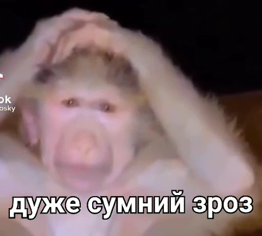 😭 Стикер «зроз» для Telegram