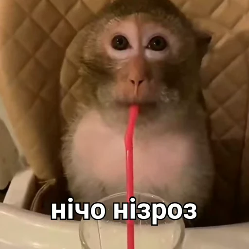 😐 Стикер «зроз» для Telegram