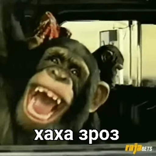 😃 Стикер «зроз» для Telegram