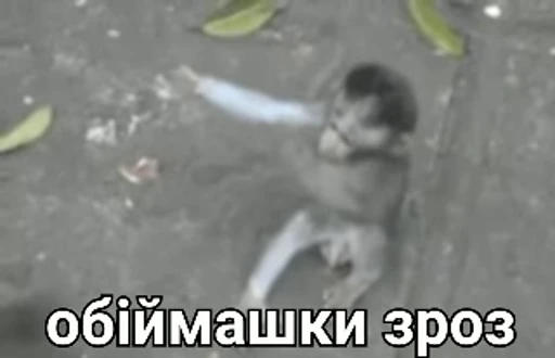 😘 Стикер «зроз» для Telegram