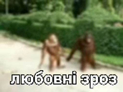 💑 Стикер «зроз» для Telegram