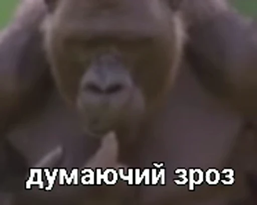 🧠 Стикер «зроз» для Telegram