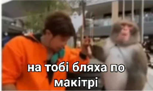 🙎 Стикер «зроз» для Telegram