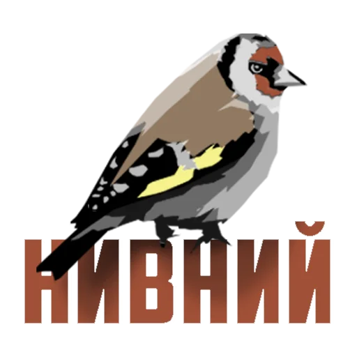 🤬 Стикер «Пазний» для Telegram