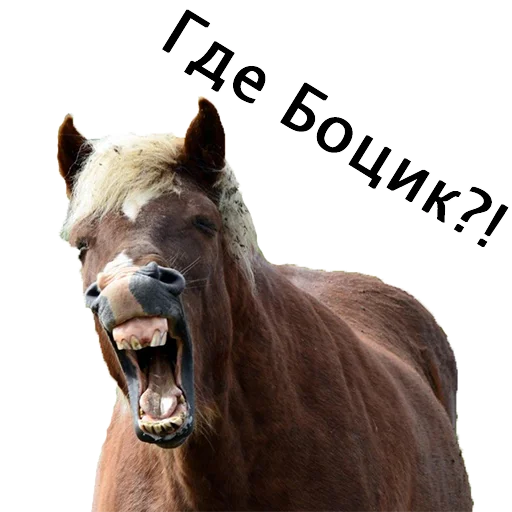 🐴 Стикер «Produsserya» для Telegram