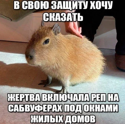 🌟 Стикер «Резонанс» для Telegram