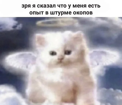 🌟 Стикер «Резонанс» для Telegram